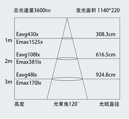 1593305740375620.jpg